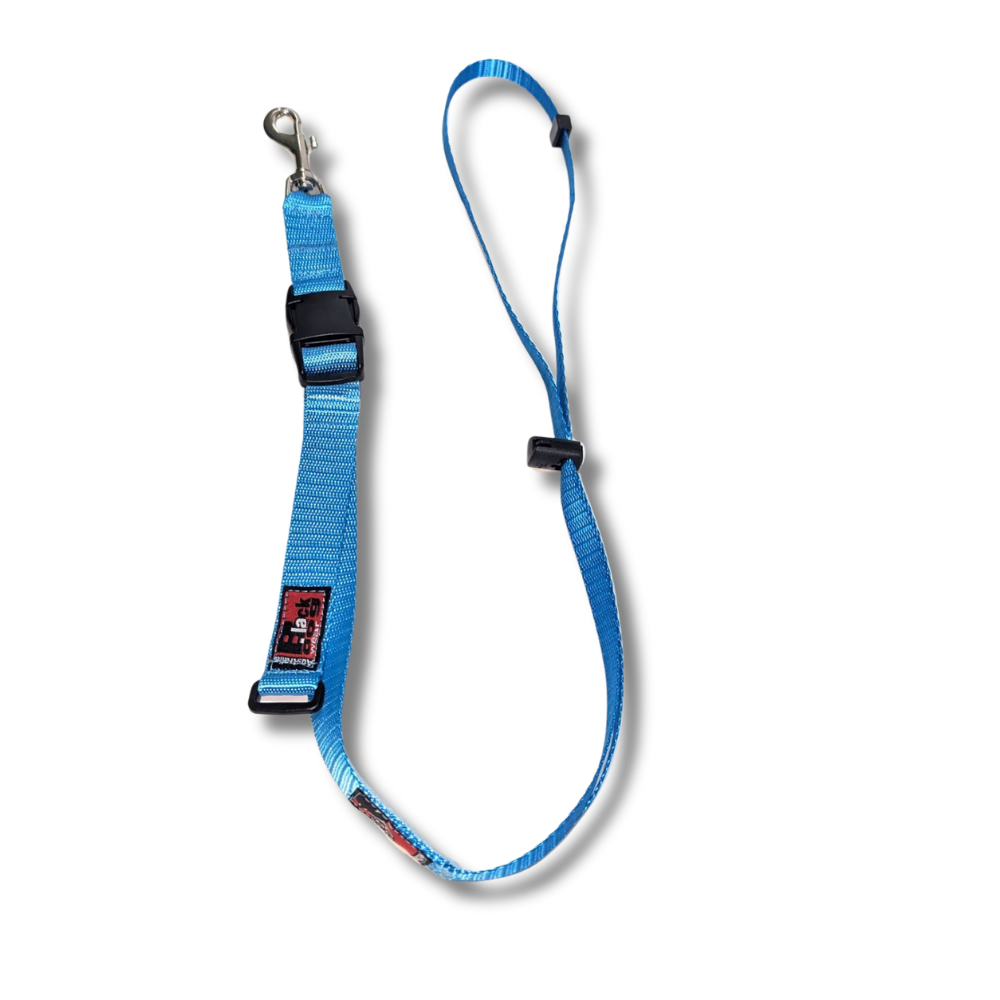 Blackdog Adjustable Grooming Loop Aqua