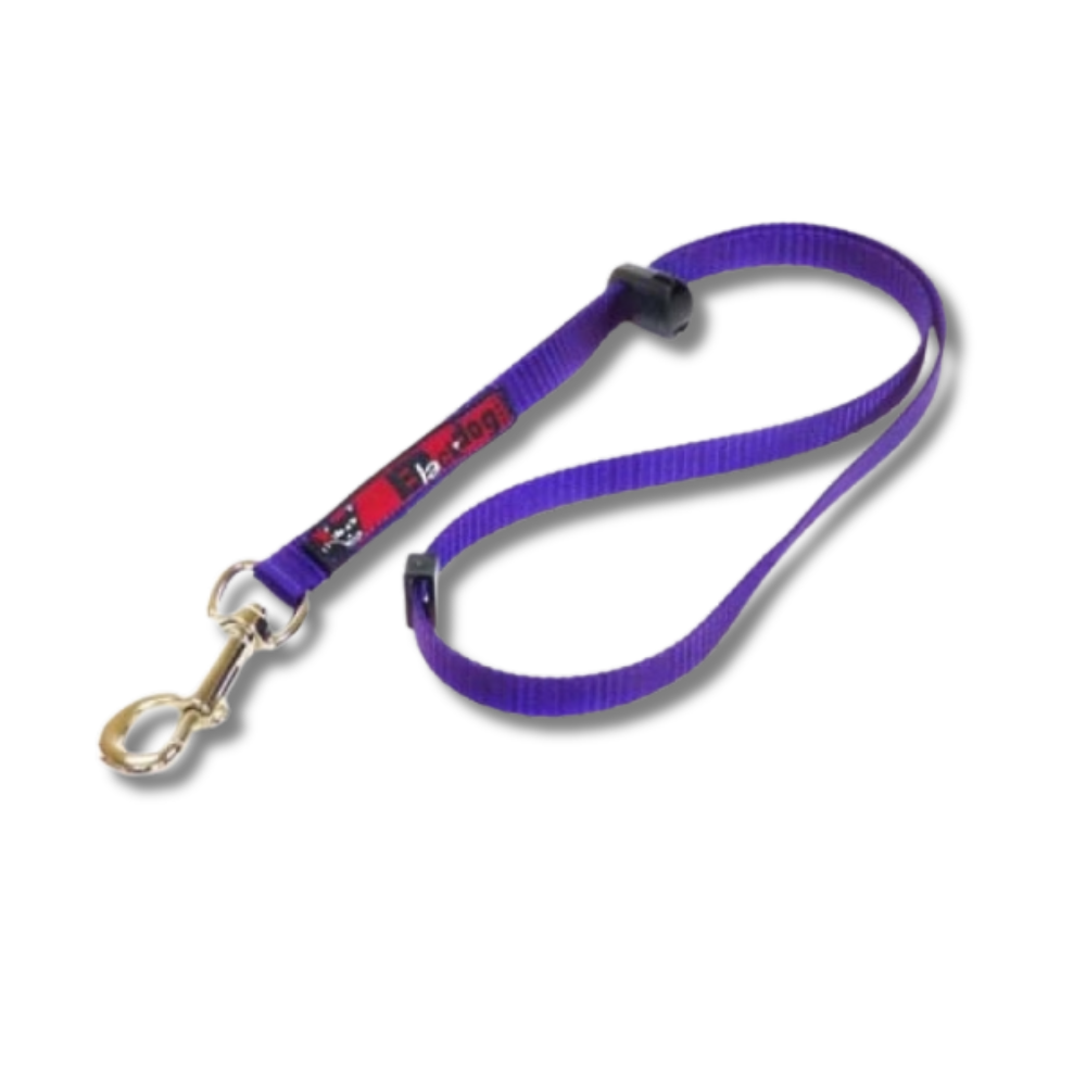 Blackdog Adjustable Grooming Loop-Purple