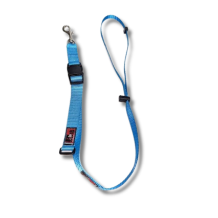 Blackdog Grooming Loop 45cm Aqua